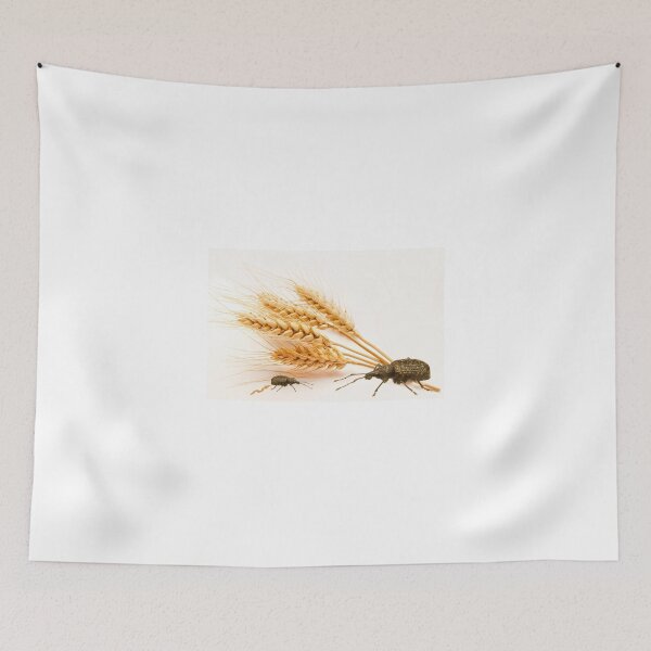 Item preview, The lesser of two weevils designed and sold by Susan Littlefield.