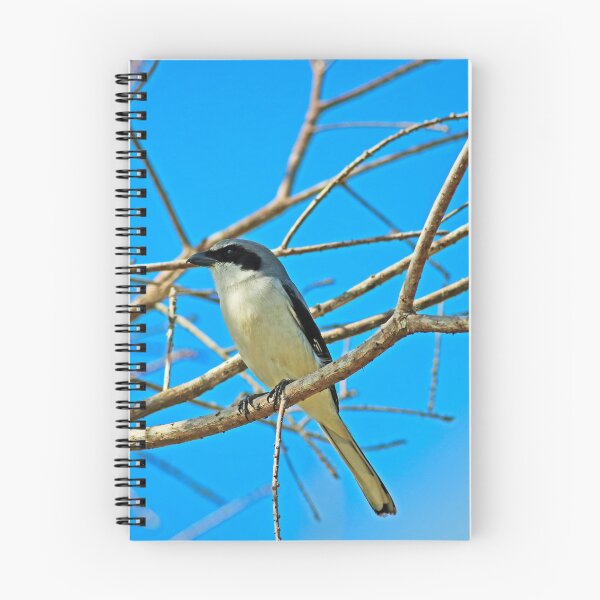 Item preview, Deep Philosophical Thoughts  designed and sold by Michiale.
