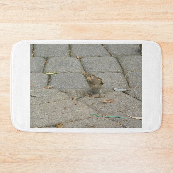 Item preview, House Sparrow designed and sold by Izayo-Darke1.