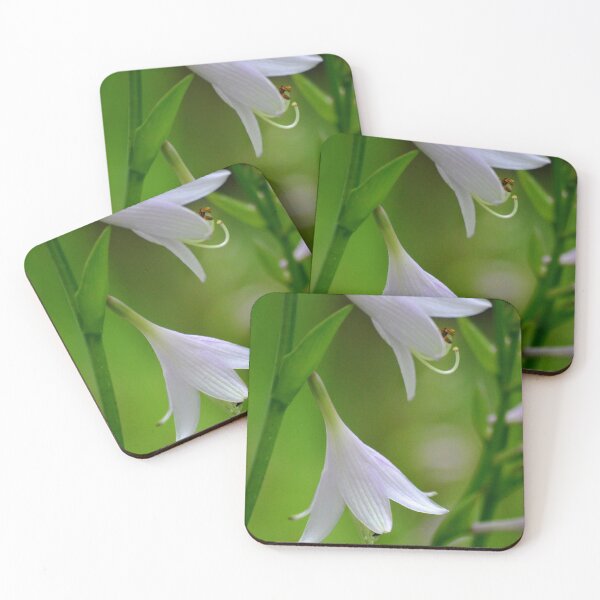 Item preview, Hostas designed and sold by Chalycejordan.