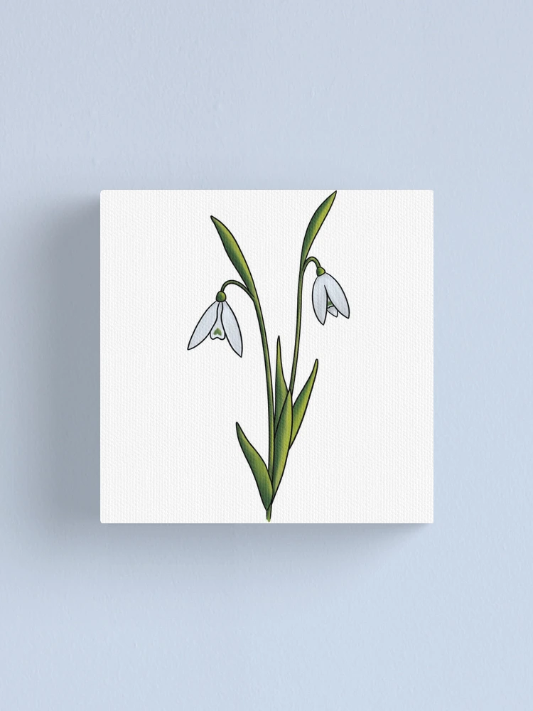 Thumbnail 1 of 3, Canvas Print, Snowdrop designed and sold by Reeseworks.