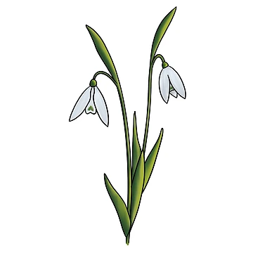 Artwork thumbnail, Snowdrop by Reeseworks