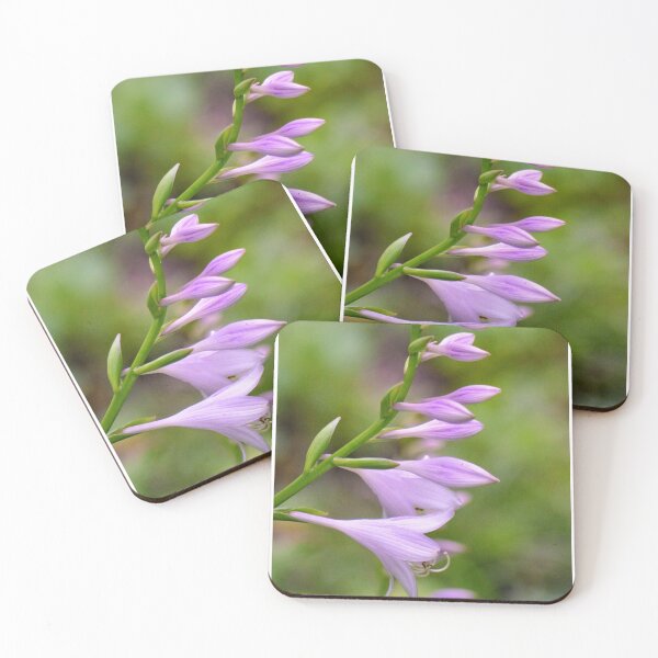 Item preview, Hosta buds  designed and sold by Chalycejordan.