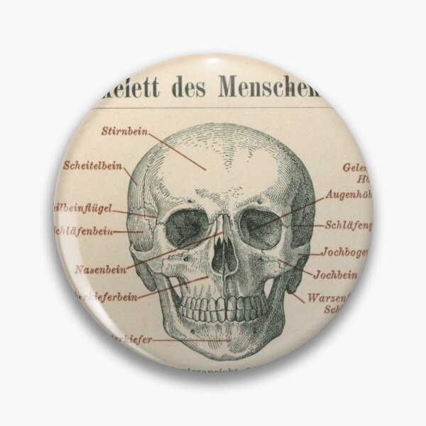 Artikelvorschau, Totenkopf Antike Lithographie entworfen und verkauft von Shop-AVP.