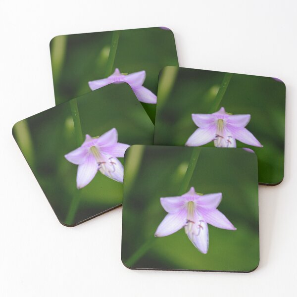 Item preview, Hosta designed and sold by Chalycejordan.