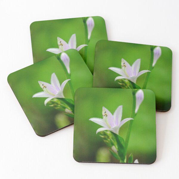 Item preview, Hosta designed and sold by Chalycejordan.