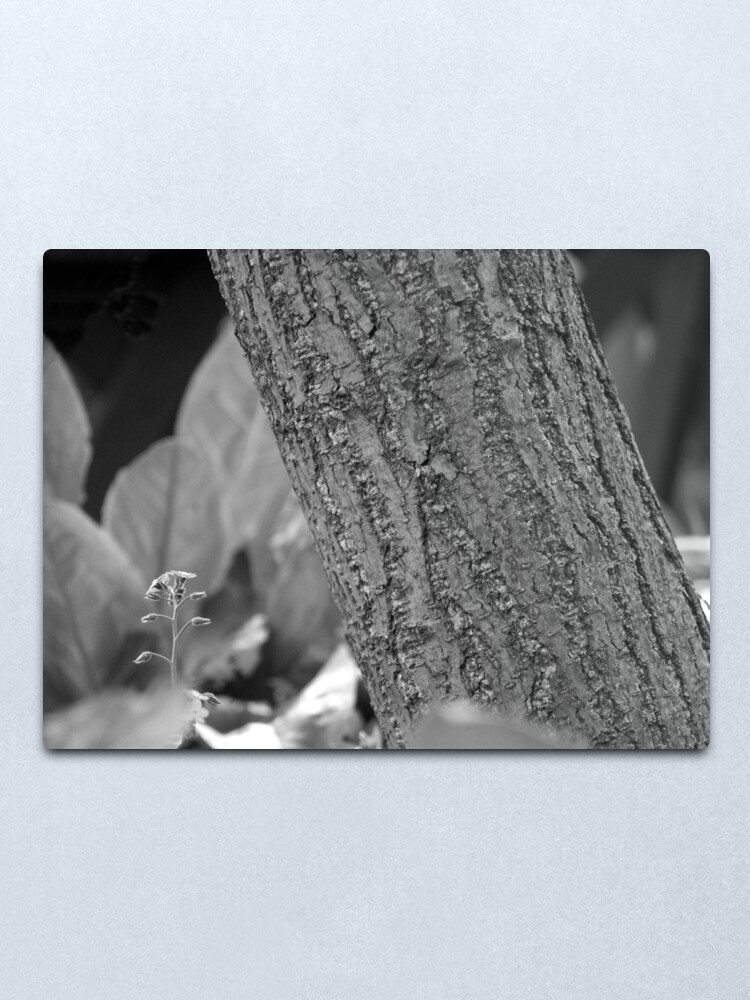 Alternate view of I Think I Can Metal Print
