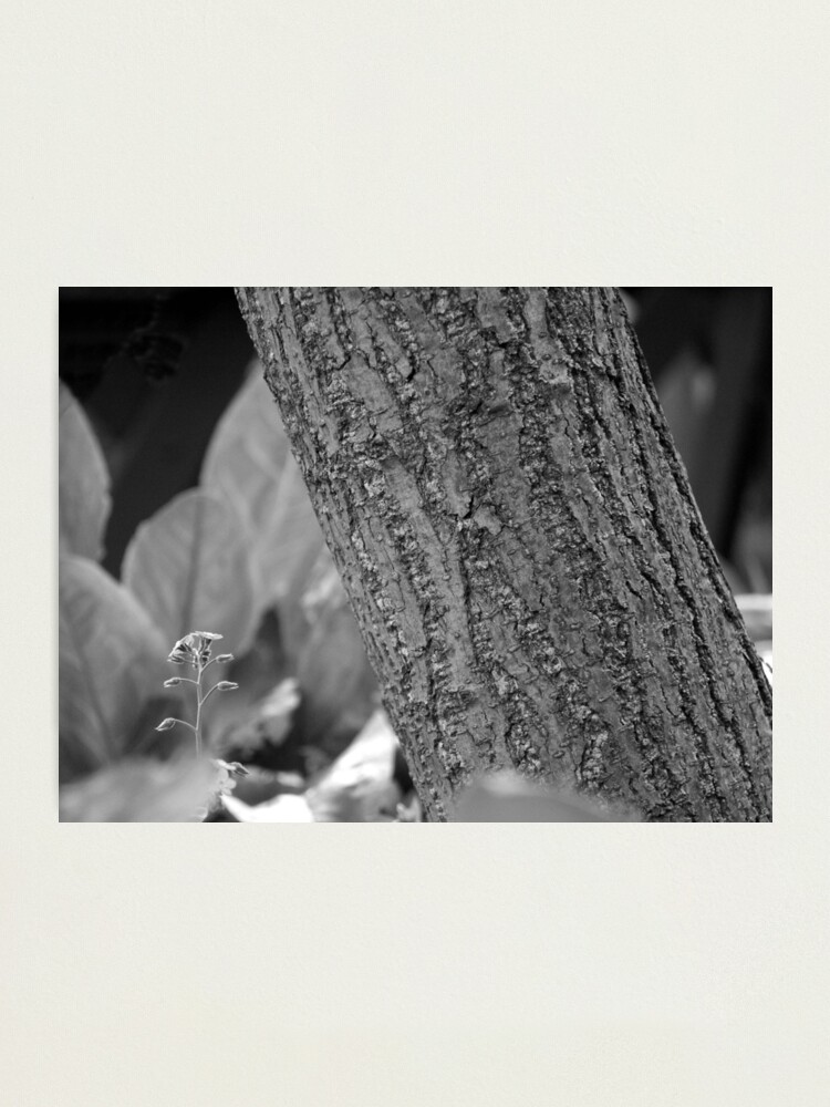 Alternate view of I Think I Can Photographic Print