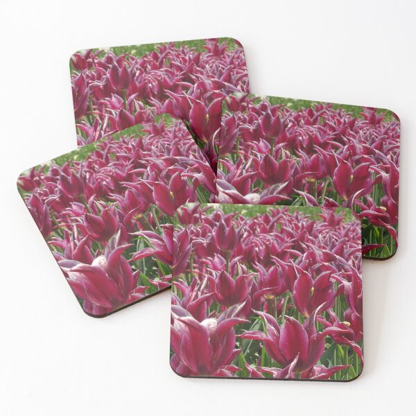 Item preview, Cranberry Tulips designed and sold by Onelamb.