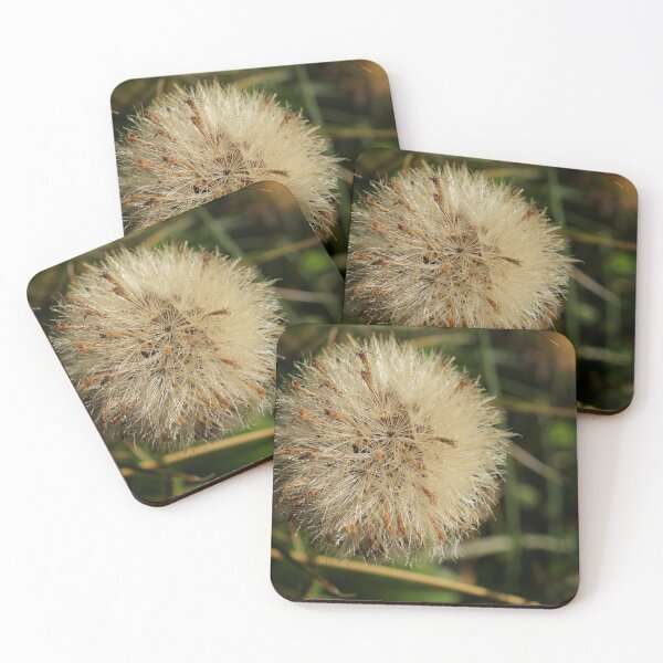 Item preview, Dandelion designed and sold by D-GaP.