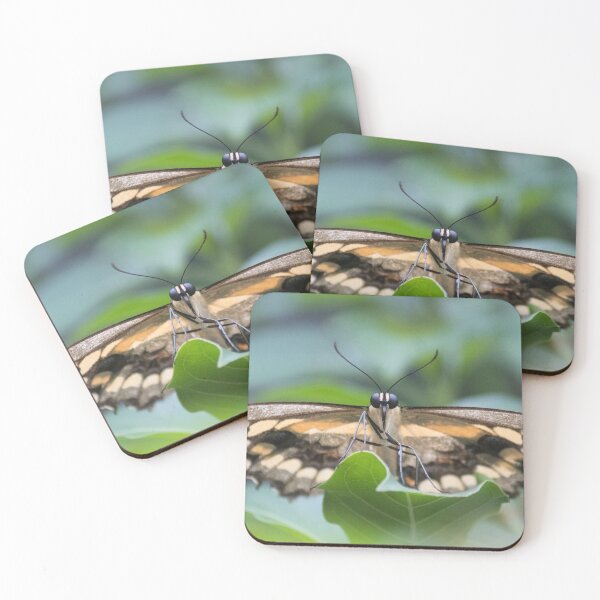 Item preview, Wings designed and sold by Jacquelie.