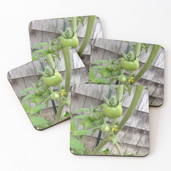 Item preview, Green tomatoes on the vine designed and sold by janawillia.