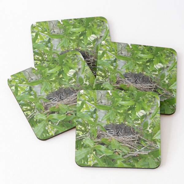 Item preview, Texas Mockingbird Chicks designed and sold by joyofnature.