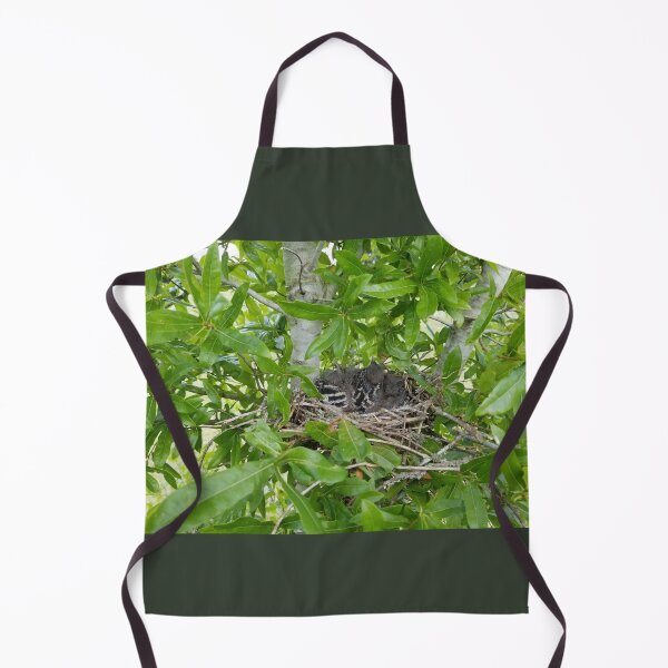 Item preview, Texas Mockingbird Chicks designed and sold by joyofnature.