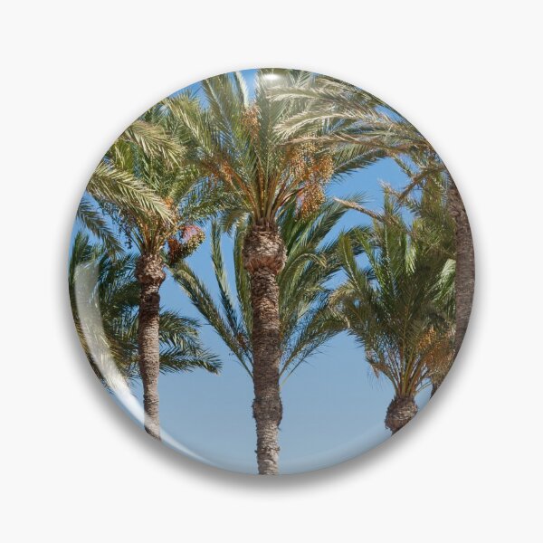 Item preview, Row of tropical feeling palm trees against blue sky with luch green fronds. designed and sold by Brian Scantlebury.