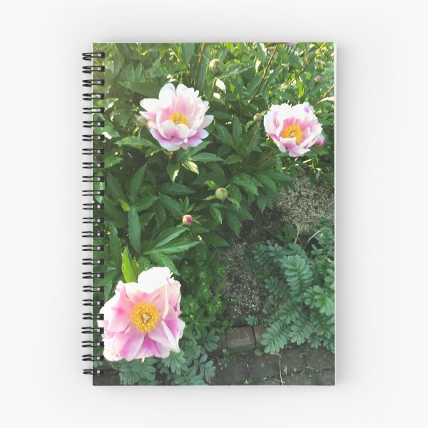 Item preview, Pink Blooms designed and sold by janawillia.
