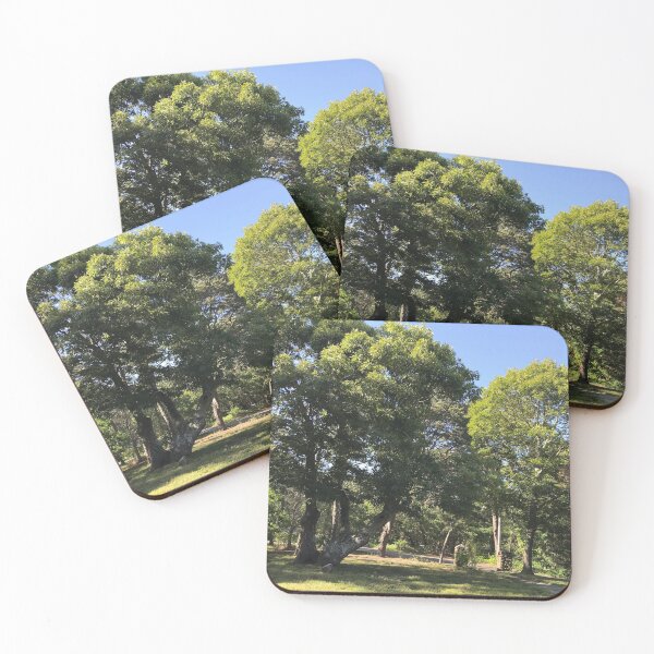Item preview, Beautiful giant trees designed and sold by janawillia.