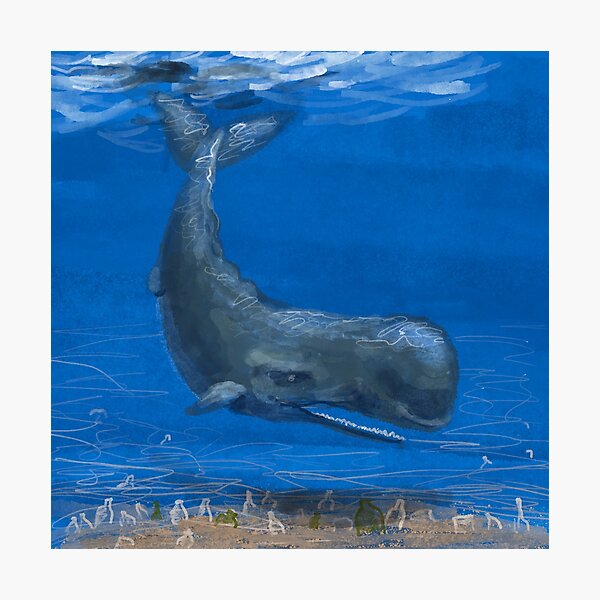 Item preview, Ballena de buceo designed and sold by RainbowStudio.