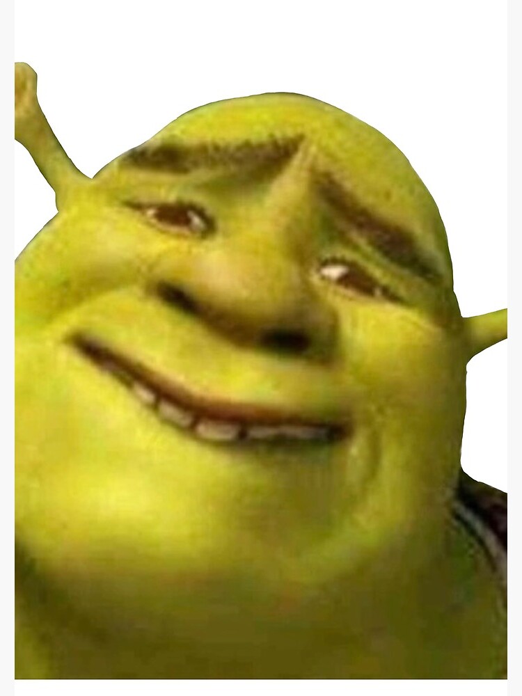 media./XTmZS2UVjdkAAAAM/shrek-shrek-meme.