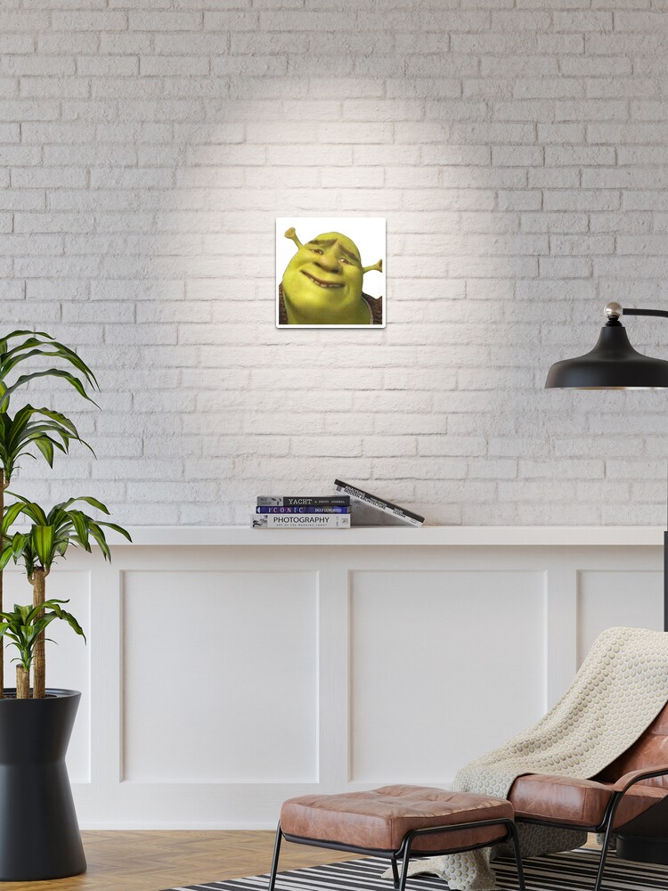 Shrek meme Photographic Print for Sale by Pulte