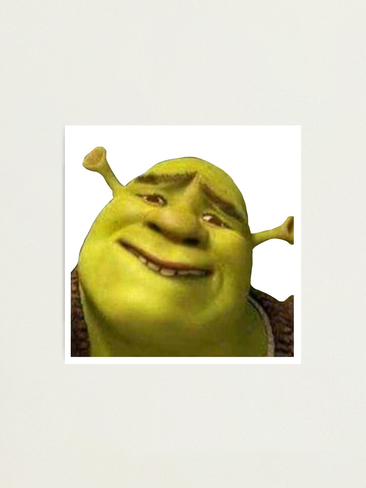 Shrek meme | Photographic Print