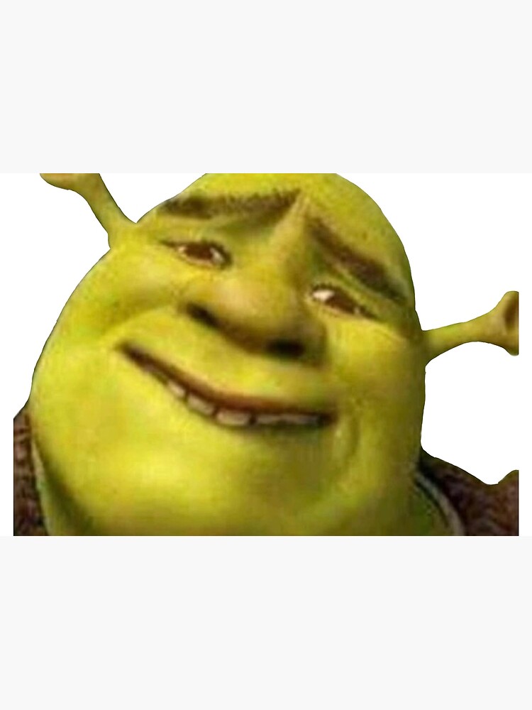 media./XTmZS2UVjdkAAAAM/shrek-shrek-meme.