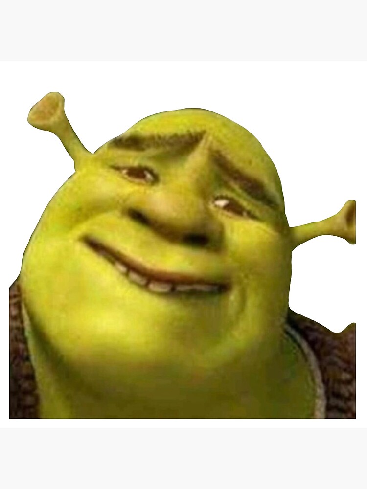 Shrek meme | Photographic Print