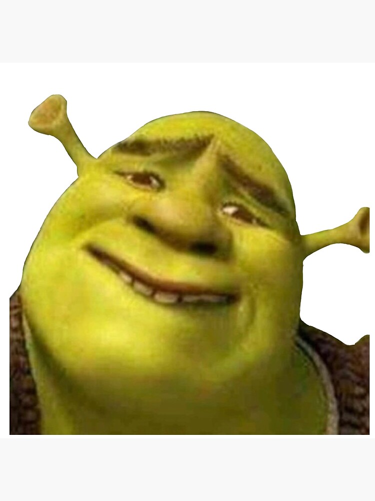 Divertente borsa tote meme Shrek confusa Borsa meme classica -  Italia