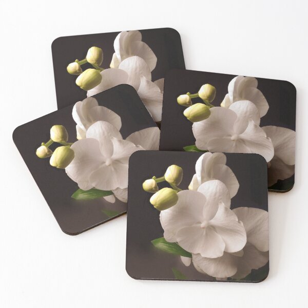 Item preview, White Serenity Phalaenopsis on Dark Brown Background designed and sold by kittenpink.