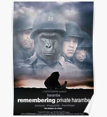 Remembering Private Harambe Poster