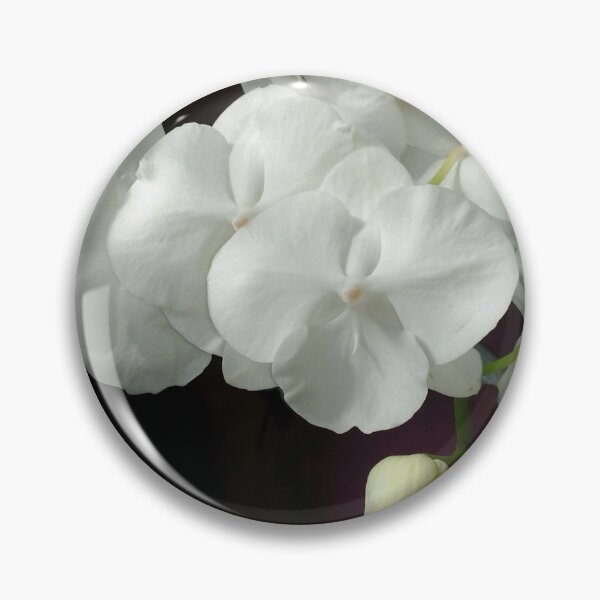 Item preview, White Serenity Phalaenopsis Orchid on Dark Background designed and sold by kittenpink.