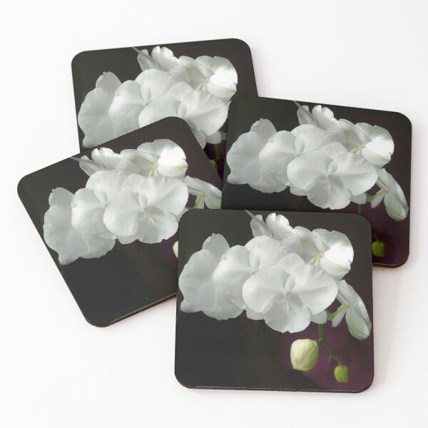 Item preview, White Serenity Phalaenopsis Orchid on Dark Background designed and sold by kittenpink.