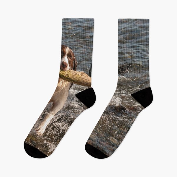 Item preview, Springer Spaniels Working Together designed and sold by naturediver.