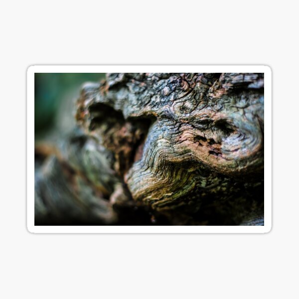 Seltsames Holz, Teil 1 Sticker