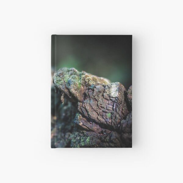 Seltsames Holz, Teil 2 Notizbuch
