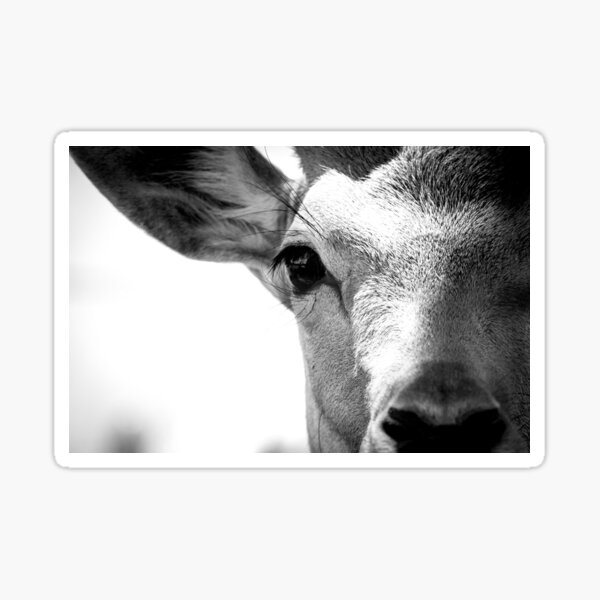 monochrome deer Sticker