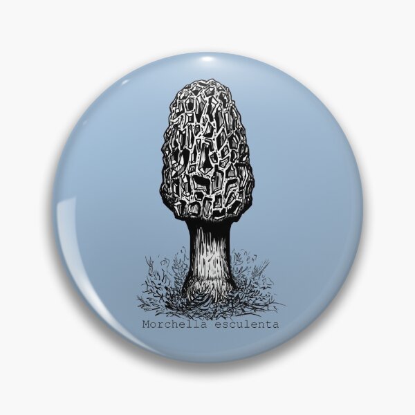 Item preview, Morel Mushroom Illustration designed and sold by mserido.