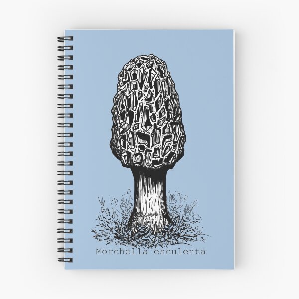 Item preview, Morel Mushroom Illustration designed and sold by mserido.