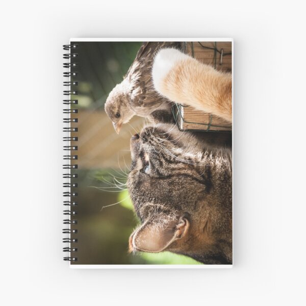 Katze mit Frühstück Spiralblock