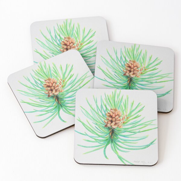 Item preview, Lodgepole Pine Botanical Drawing designed and sold by Kelley-Art.