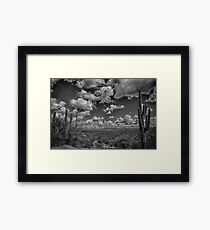 Desert Vista Framed Print