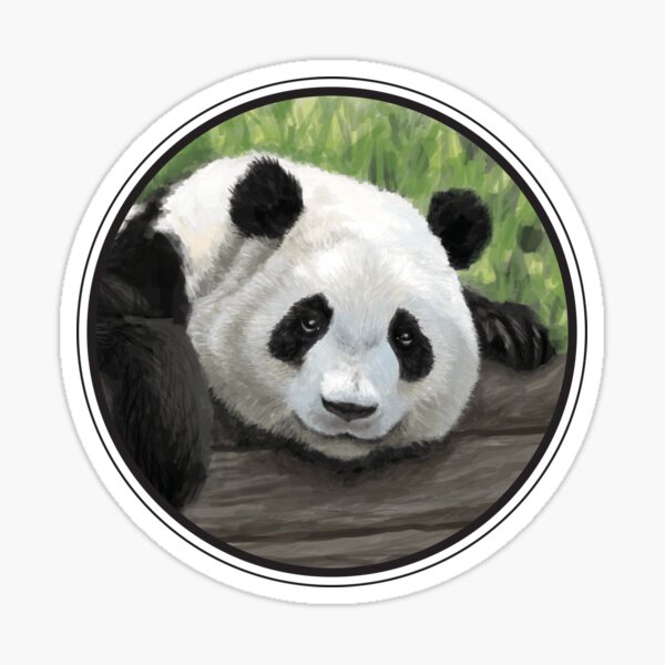 Giant panda Label Sticker Party Cuteness, 3d affixed mural, white, face,  carnivoran png