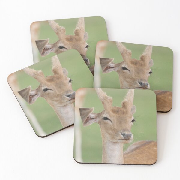 Item preview, Fallow Deer designed and sold by MelKowasic.
