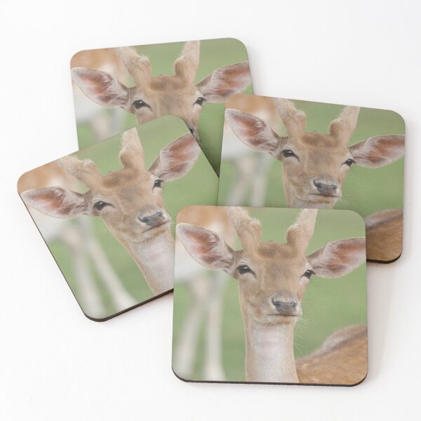 Item preview, Fallow Deer designed and sold by MelKowasic.