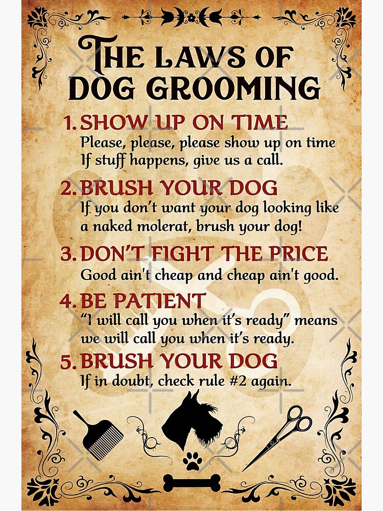 the-laws-of-dog-grooming-show-up-on-time-brush-your-dog-dog