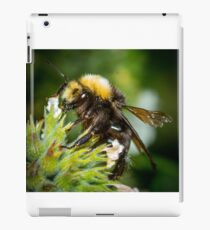 Bumble Bee iPad Case/Skin