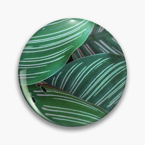 Item preview, Plant Texture designed and sold by hnwinanda.