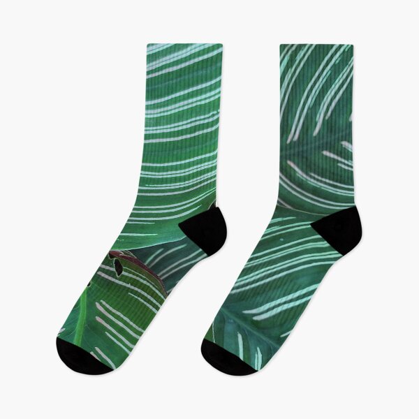 Item preview, Plant Texture designed and sold by hnwinanda.