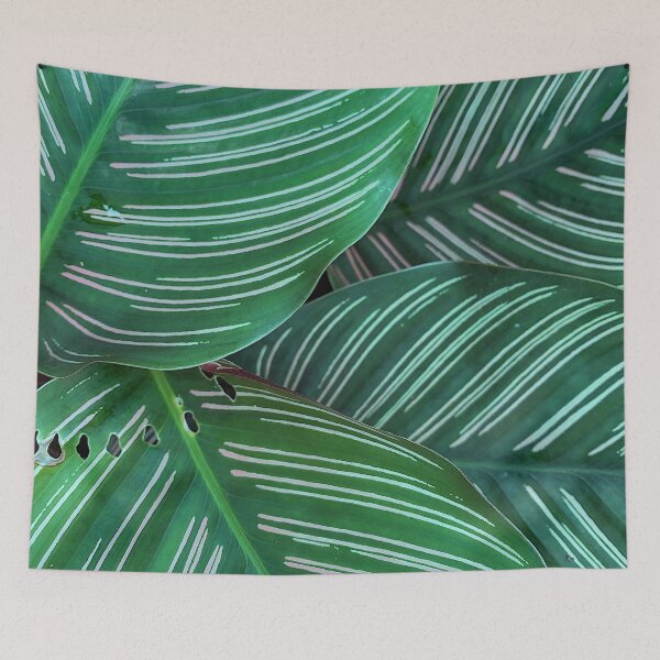 Item preview, Plant Texture designed and sold by hnwinanda.