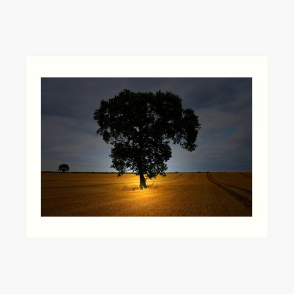 THE TREE IN THE FIELD Art Print